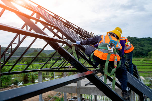 Best Roof Repair Services  in Montague, MI