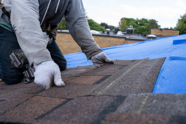 Best New Roof Installation  in Montague, MI