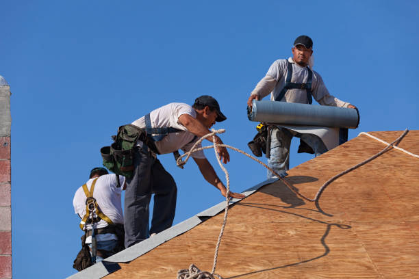 Best Metal Roofing Contractor  in Montague, MI