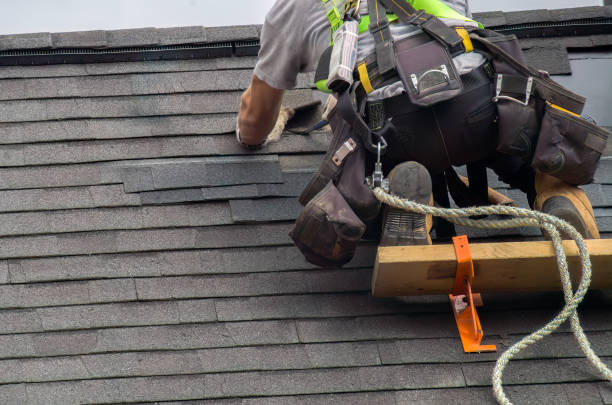 Best Best Roofing Contractors  in Montague, MI