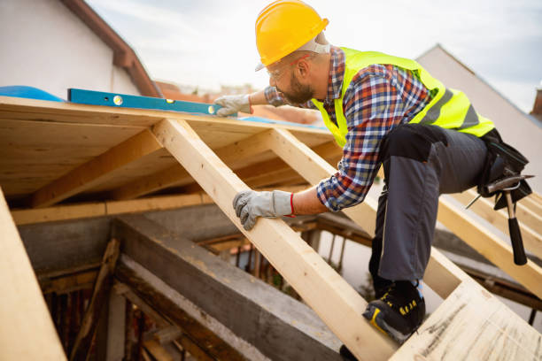 Best Roof Maintenance Services  in Montague, MI