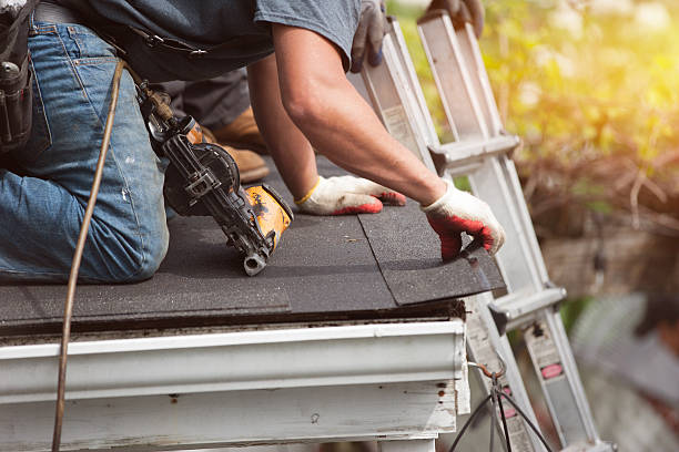 Best Flat Roof Repair Services  in Montague, MI